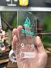 惠舟【3D熱彎無界膜】適用蘋果17ProMax鋼化膜AR增透防窺16/15/14/13/Plus/17e/Air抗反射無黑邊手機膜 超立體無界3D熱彎丨AR增透高清款丨配神器 iPhone 蘋果16  曬單實拍圖