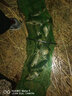 陀螺牌（TOP BRAND）土肥富魚鉤新關(guān)東無倒刺SSC蛇腹切釣針釣魚鉤競技野釣漁鉤漁具 0.8號 曬單實拍圖