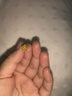 老廟黃金耳釘女甜蜜小方糖999足金耳飾七夕情人節(jié)禮物送女朋友老婆 金重約1.4g【足金耳釘】 曬單實(shí)拍圖