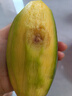 廣西百色桂七芒果新鮮田東桂7青皮香芒現摘應季水果禮盒京東包郵 大果250-300g｜正宗桂七香芒 9斤｜超值劃算 曬單實拍圖
