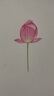 得力（deli） 專(zhuān)業(yè)美術(shù)8K16K A4素描本速寫(xiě)本 彩鉛繪畫(huà)本涂鴉本 【豎翻16k】40張 260*188mm 曬單實(shí)拍圖