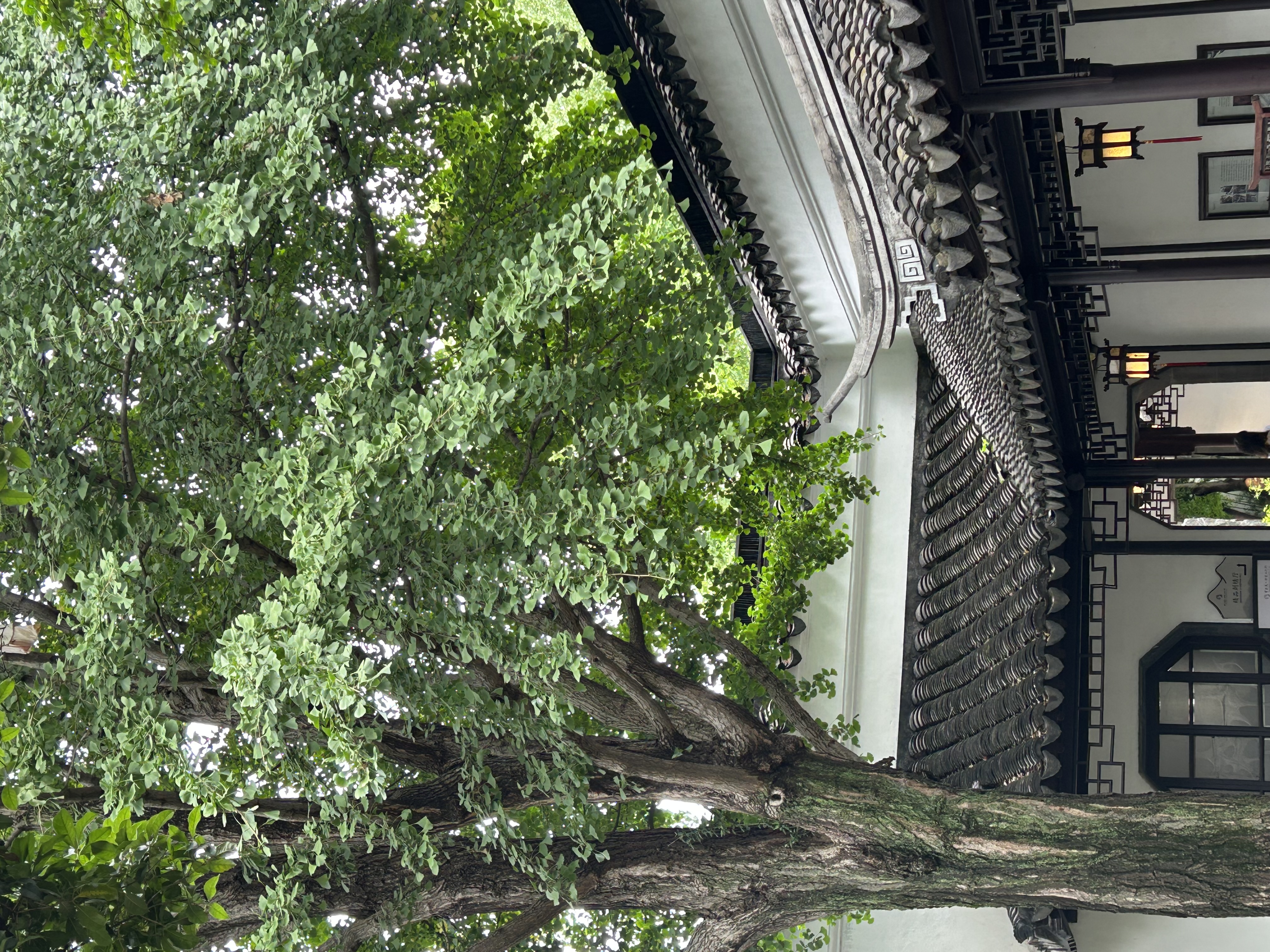 蕉下（beneunder）男士polo衫防汗?jié)n透氣5A抑菌短袖T恤DR019淺炭灰2XL 曬單實(shí)拍圖