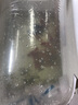 優(yōu)魚(yú)若寵黑龍睛紅獅金魚(yú)混搭多色多品種小金魚(yú)冷水淡水魚(yú)風(fēng)水魚(yú) 精品隨機混搭金魚(yú)7-8cm5只 曬單實(shí)拍圖