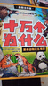 【小小學霸12冊】超有趣物理數學幾何拼音啟蒙機關書/中國兒童科學大百科3-12歲 小學生百科全書睡前故事書6-12歲課外必讀圖書成長科普讀物繪本中小學生課外閱讀書籍高效培養數感幼小銜接神器 曬單實拍圖