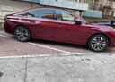 車(chē)麗友 專(zhuān)用于標致308標致408X標致301標致508L標致408汽車(chē)腳墊TPE TPE腳墊【全包門(mén)檻】+美尼斯黑（店長(cháng)推薦） 標致508L （19-25款） 曬單實(shí)拍圖