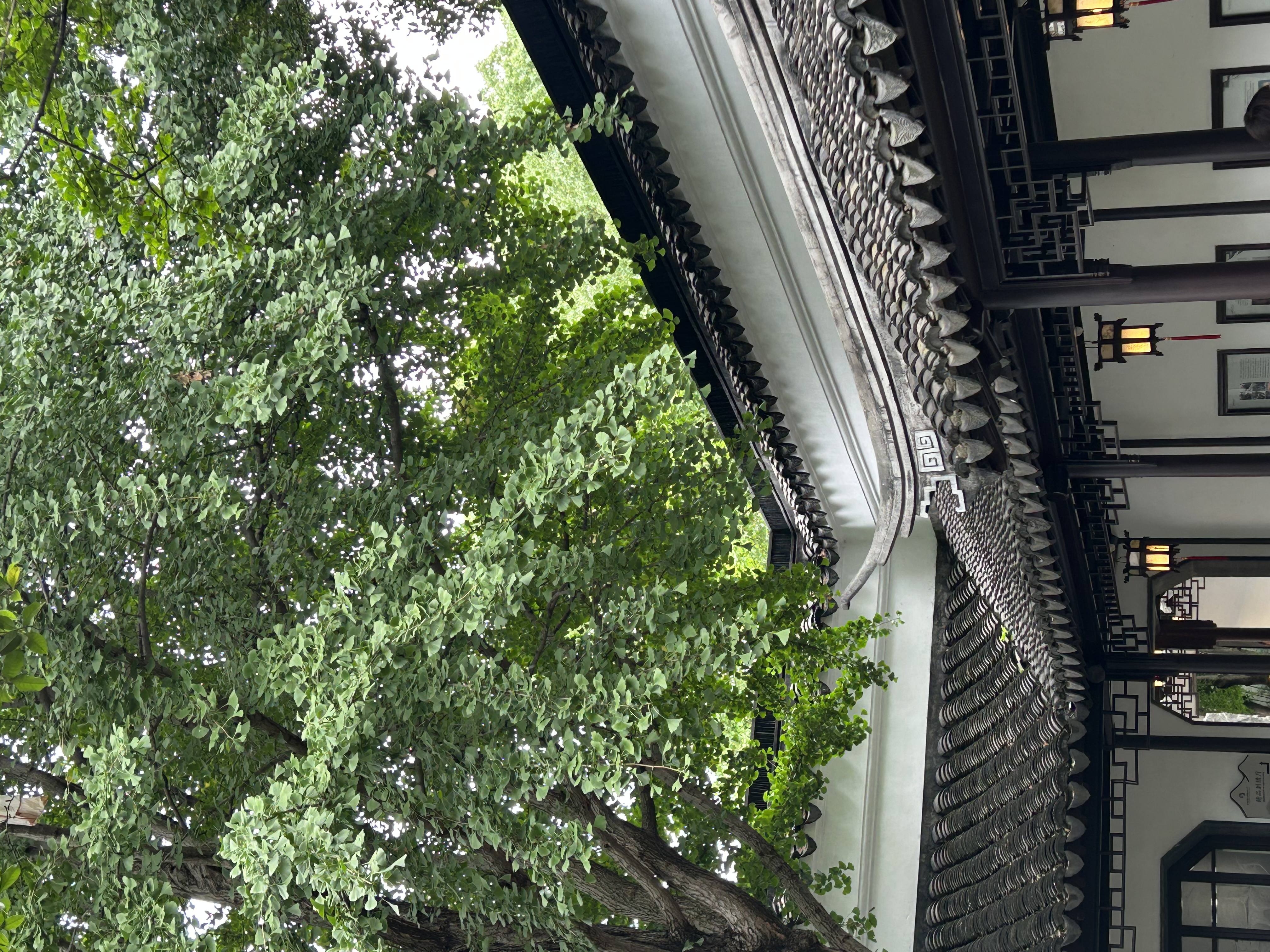 蕉下（beneunder）男士polo衫防汗?jié)n透氣5A抑菌短袖T恤DR019淺炭灰2XL 曬單實(shí)拍圖