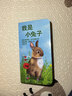 青葫蘆小巴掌睡前故事全套10冊寶寶親子早教啟蒙經典閱讀童話繪本寶寶親子早教啟蒙經典閱讀童話繪本0-2-3歲嬰兒撕不爛 【全套10冊】小巴掌睡前故事書（德國原版引進） 曬單實拍圖