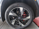 普利司通汽車輪胎255/50R20 109V XL TURANZA 6 靜音綿 配套奇瑞智界R7  曬單實拍圖