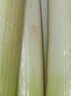密農(nóng)人家 農(nóng)家大蔥 新鮮蔥 鐵桿大蔥 蔥味濃郁 新鮮大蔥 去葉做餡 大蔥5斤 大蔥 5斤 曬單實(shí)拍圖