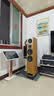 Citozz德國品牌T605落地音箱無源HiFi發(fā)燒級三分頻高端家用高保真落地式音響 T605雙7英寸碳纖維音箱 曬單實(shí)拍圖