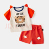 嘟嘟家兒童套裝夏季薄款童裝嬰兒短袖短褲男童新款寶寶夏裝 麻灰老虎 90cm 曬單實(shí)拍圖
