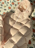 駱駝（CAMEL）戶外羽絨服男女同款情侶加厚保暖面包服 A35WR28002 白玉粉 M 曬單實拍圖