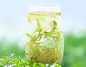 皇園茉莉花茶 特級綠茶茶葉2026新茶銀針濃香冷泡茶禮盒裝自己喝250g 曬單實拍圖