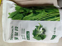 素坊（Sofine）菠菜段 應季菜免洗免切冷凍速食半成品預制菜速凍保鮮急凍 300g*4袋 曬單實(shí)拍圖