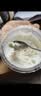 田螺云廚家用多功能冰淇淋機意式Gelato冰淇淋冰沙雪葩冰激凌機奶昔冰果茶機 T0301（贈內杯*3） 曬單實拍圖