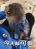 L-DAIELLE貓咪牽引繩牛仔蝴蝶結(jié)寵物背帶工字型防掙脫不勒脖可調(diào)節(jié)輕量舒適 牛仔粉蝴蝶結(jié) 貓貓款M （頸部23-33cm 胸部32-51cm 體重7-14斤） 曬單實拍圖
