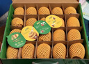 佳沛（zespri）x1號(hào)會(huì)員店聯(lián)名款陽(yáng)光金奇異果20粒禮盒單果約146-175g水果獼猴桃 曬單實(shí)拍圖