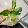 VINOS水晶玻璃杯家用玻璃水杯泡綠茶杯明前龍井茶杯牛奶杯涼水杯果汁杯啤酒杯子帶杯架套裝 水晶杯400ml*6只 曬單實拍圖