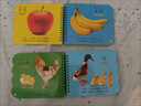 撕不爛可啃咬 嬰幼兒啟蒙認(rèn)知早教書 嬰兒繪本0-1-2-3歲寶寶書籍一歲半兩歲益智玩具大卡認(rèn)識動物書顏色趣味識數(shù)咿呀學(xué)語6個月以上嬰幼兒童早教啟蒙認(rèn)知繪本 【主圖款】動物世界+水果蔬菜+趣味識數(shù)+咿呀 曬單實拍圖