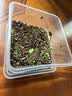 NARBERRY兒童泡澡球帶玩具泡泡浴球牛奶浴精油浴鹽球洗澡專用多泡泡沐浴球 兒童夜光玩具泡澡球【一盒12顆】 曬單實拍圖