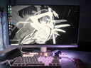 華碩（ASUS）ROG絕殺27二代 27英寸2K顯示器240Hz超頻260Hz FASTIPS電競0.3ms響應 G-SYNC技術HDR400 2K260Hz/吹雪白 XG27ACMEG-W 曬單實拍圖