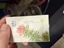 蔚藍之美（Wei Beauty）WEI蜂肽抗皺補水面膜緊致補水保濕淡紋清潔男女涂抹式泥膜12*8ml 曬單實拍圖