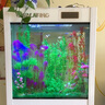 閩江（minjiang）魚缸水族箱免換水生態(tài)造景客廳風(fēng)金龍魚缸玻璃烏龜缸錦鯉缸 白色（禮包+升級過濾） 長60*寬30*高64.5（魚缸缸體） 曬單實拍圖