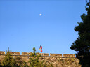 迪卡儂運(yùn)動(dòng)褲男速干長(zhǎng)褲束腳褲透氣輕盈運(yùn)動(dòng)褲-2955005 曬單實(shí)拍圖
