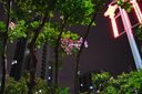 富士（FUJIFILM）X-E5／XE5 微單相機 套機（XF23mmF2.8鏡頭）4020萬像素 7檔五軸防抖 膠片模擬撥盤 6k30p 銀色 曬單實拍圖