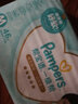 幫寶適（Pampers） 一級幫紙尿褲嬰兒尿不濕 S碼76片【紙尿褲】 曬單實(shí)拍圖