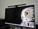 海信GX 31.5英寸3A原畫 黑曜屏 2304分區(qū)玻璃基MiniLED XDR2000nits 4K160Hz影游雙模 電競顯示器 32GX 曬單實(shí)拍圖