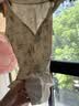 歐孕（OUYUN）[果凍涼]兒童泳衣女童夏季洋氣速干防曬連體泳衣夢語城堡110 曬單實拍圖