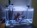 歐亞瑟外置過濾桶德國進(jìn)口魚缸過濾器過濾設(shè)備水族箱草缸烏龜缸凈水器 M600(不帶加熱棒) 曬單實拍圖