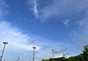 江南布衣（JNBY）秋冬新品扭扭樂T恤棉質寬松趣味立體造型短袖圓領H型5O7112850 曬單實拍圖