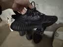 阿迪達斯Yeezy350暴龍獸椰子透氣男女時尚休閑鞋 GW3774 39 曬單實拍圖