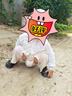 邦仔醫(yī)護(hù)級(jí)紙尿褲嬰兒超薄護(hù)臀柔潤(rùn)透氣干爽尿不濕拉拉褲 拉拉褲3XL40片 曬單實(shí)拍圖