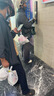 安踏（ANTA）零壓速干T | C10短袖T恤男夏季吸濕透氣冰爽涼感短T男士跑步上衣 碳素灰/石板綠-1 國家隊透爽科技 XL (男180) 曬單實拍圖