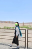 JIOESC湖藍色絲巾薄款新疆西藏西北旅游拍照披肩女外搭棉麻頭巾紗巾圍巾 藍色印花 180*60cm 曬單實拍圖