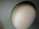 紅衛(wèi)羊脂皂香皂洗臉皂洗澡肥皂沐浴控油潔面皂120g*5塊 曬單實拍圖