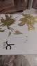 自由之丘七夕節禮物溫感面膜超導版涂抹式面膜提拉緊致抗老祛皺50ml禮物 曬單實拍圖