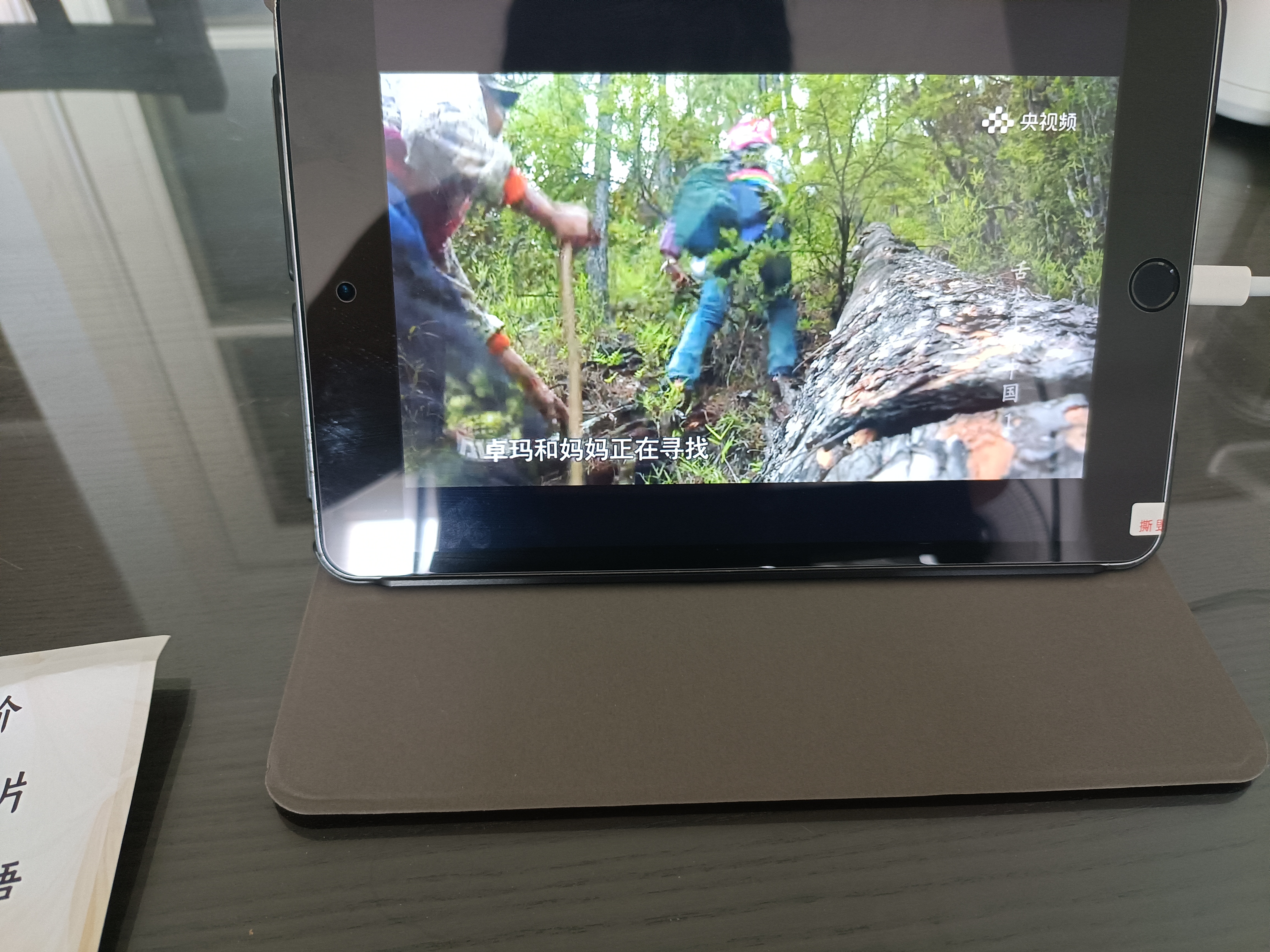 Apple蘋果 iPad Air2/Air3 mini2/4/5 iPad5/6/7/8 二手平板電腦 iPad mini4 128G WiFi版 9成新 曬單實拍圖