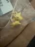 佐卡伊七夕禮物黃金吊墜女足金彩虹獨(dú)角獸生肖馬金項(xiàng)鏈約1.03g 曬單實(shí)拍圖