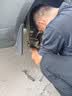 博世（BOSCH）剎車片后片大眾桑塔納途鎧朗逸探影捷達VA3奔騰B30明銳C4世嘉榮威 曬單實拍圖
