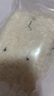 野獸派家居（tbh）人造羊毛立體羊崽小包斜挎包單肩包手機包 人造羊毛立體羊崽小包 曬單實(shí)拍圖
