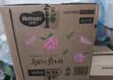 好奇（Huggies）【次日達】鉑金裝紙尿褲新生兒嬰兒尿不濕超薄透氣小桃褲 XL碼 62片 +2片紙尿褲【12-17kg】 曬單實拍圖