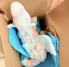 Jellycat拉祖利亞龍毛絨玩具娃娃玩偶公仔送禮七夕情人節(jié)禮物2026春夏新品 藍(lán)色 Large 曬單實拍圖