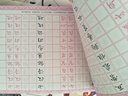 鋼筆毛筆兩用字帖楷書系列·祝允明書千字文 曬單實(shí)拍圖