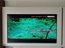 Vidda 發(fā)現(xiàn)X Mini新品 海信電視85英寸 300Hz墨晶屏 前置回音壁 2026款一級能效 超高清超薄電視85VX3S 85英寸 曬單實拍圖