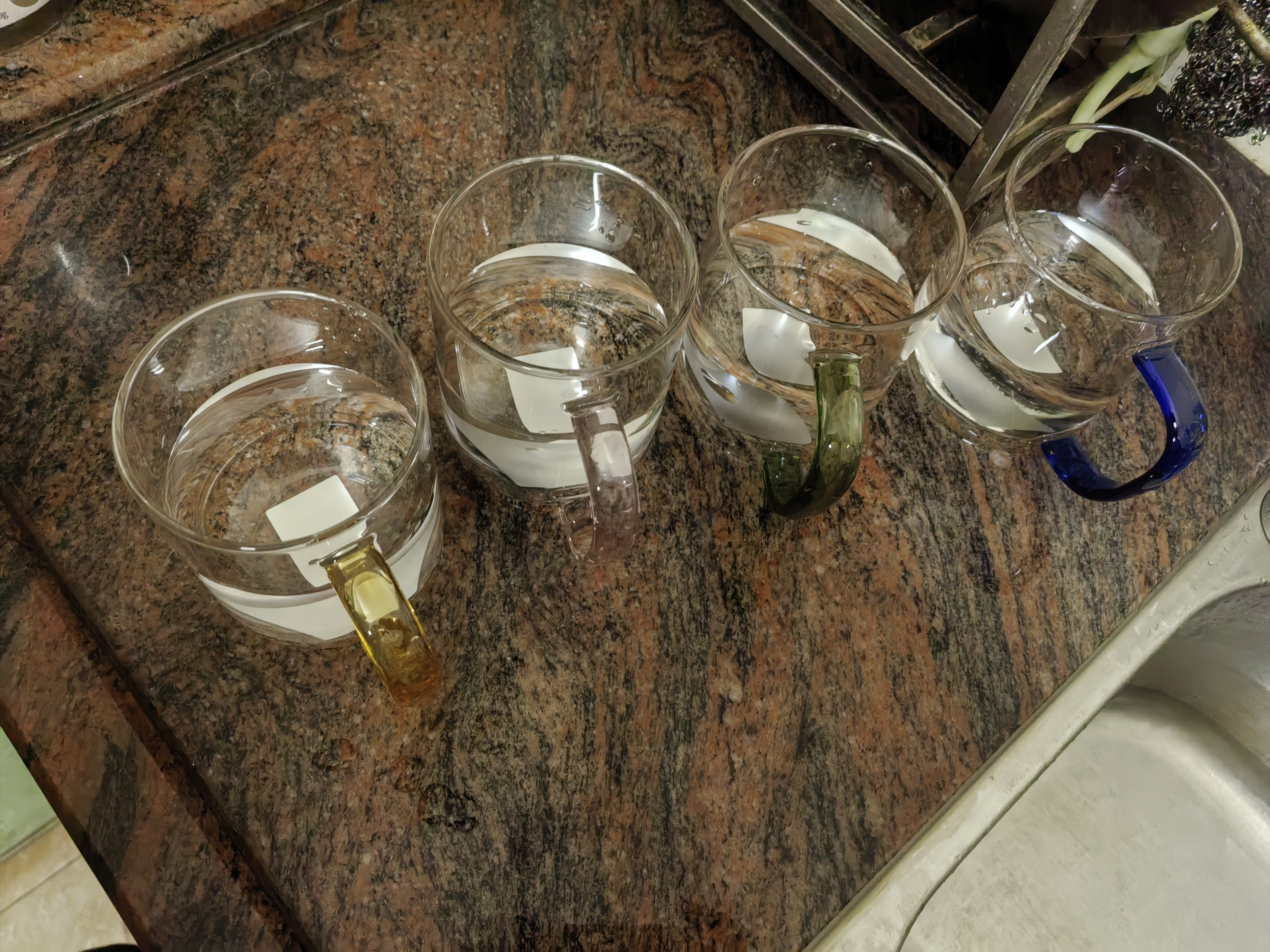 富光 玻璃杯茶杯透明泡花茶杯帶把手杯子客廳水杯家庭套裝男女牛奶杯 四只裝 曬單實拍圖