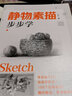 靜物素描步步學(xué) 曬單實(shí)拍圖